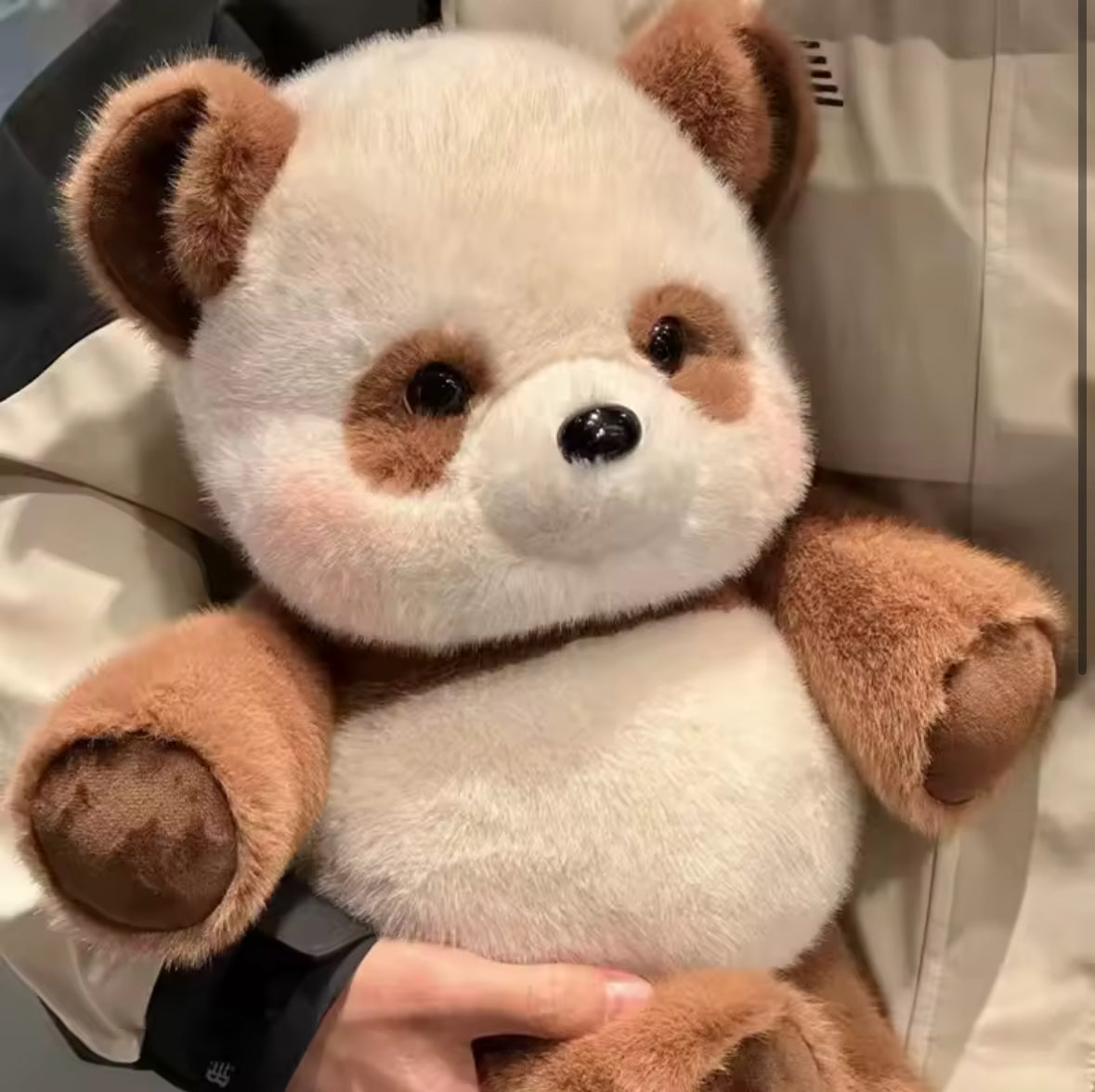 Cutezommies